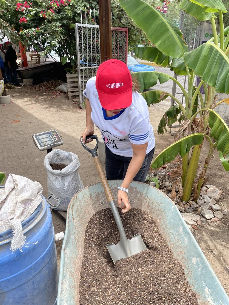 Cultivar equipos, cultivar futuro: El poder del Team Building en huertos urbanos 1 69669F87 AB98 4E79 A8D2 A6CEC3986736 1 102 o