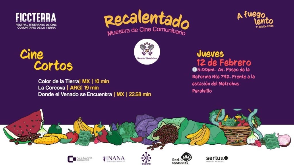 WhatsApp Image 2026 02 05 at 13.27.44