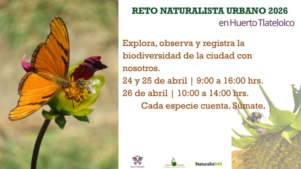 Reto Naturalista Urbano 2026
