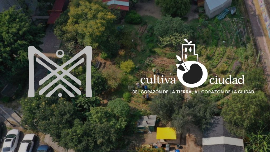 NUEVO PUENTE Presentacion