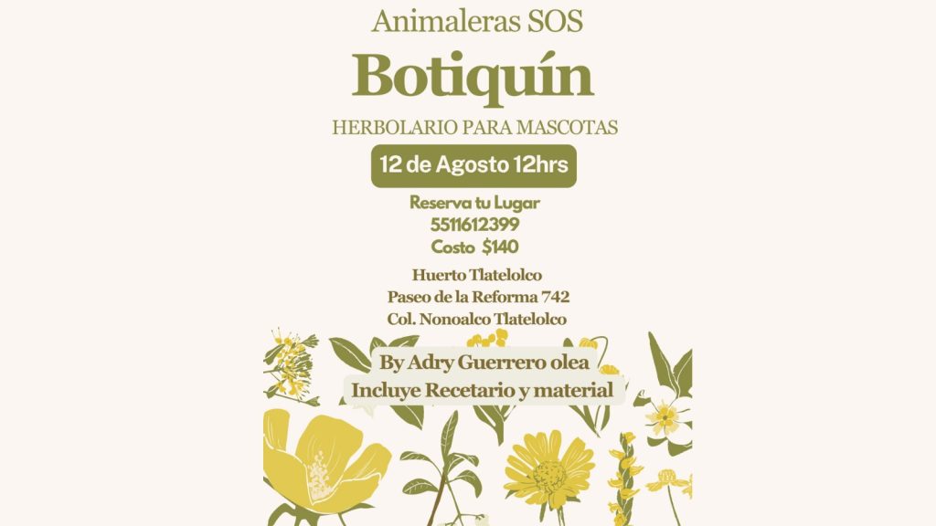 Taller de Herbolario para Mascotas