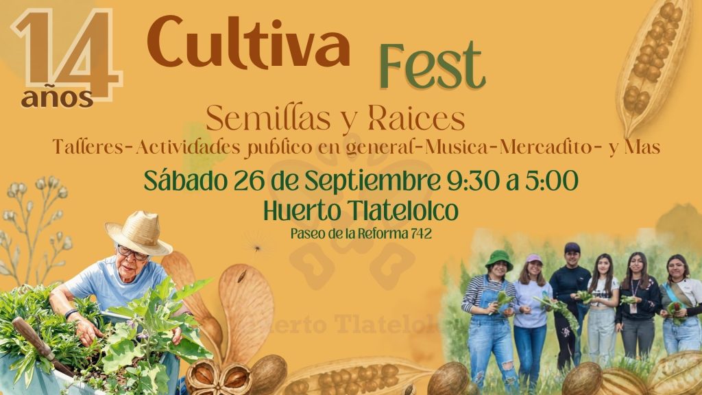 Cultiva fest 26 1